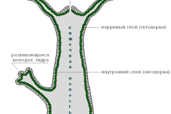 Кракен даркнет как зайти