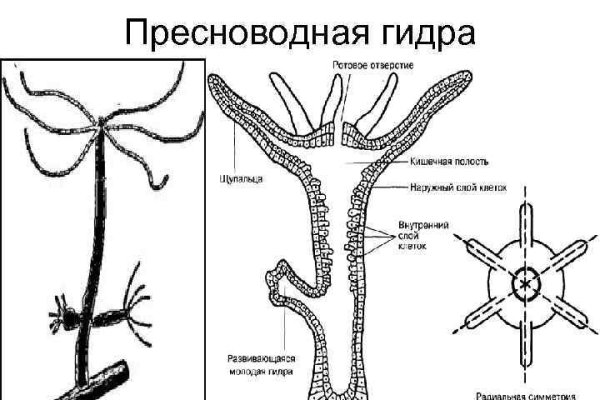 Купить гашиш бошки