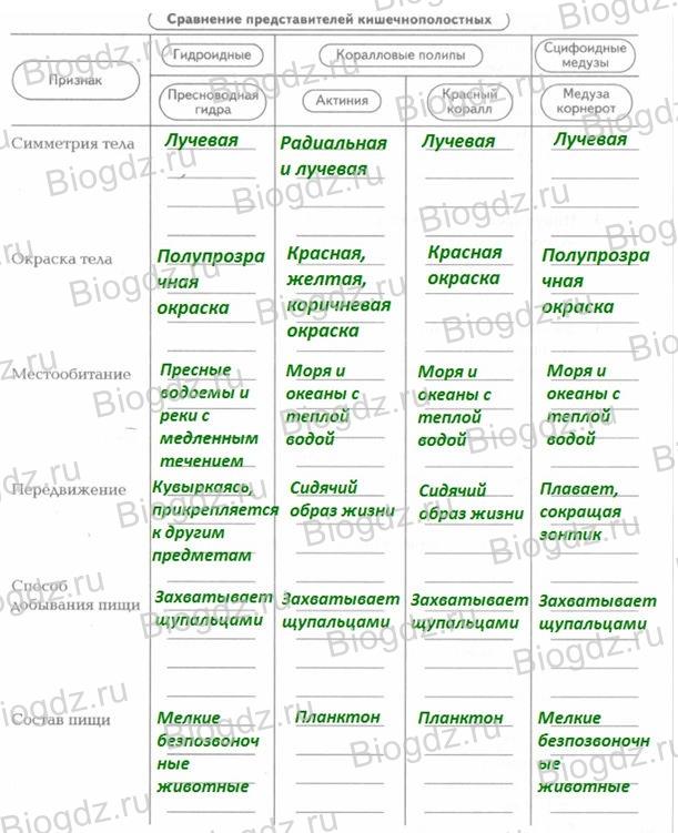 Кракен запрещен в россии